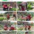 나는 자연인이다.E554.230517.720p.H264-F1RST