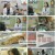 알약방.E151.230518.1080p.H264-F1RST