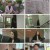 궁금한 이야기 Y.E637.230519.1080p.H264-F1RST