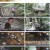걸어서 세계속으로.E792.230520.1080p.H264-F1RST