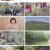 동물극장 단짝.E62.230520.720p.H264-F1RST