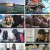 6시 내고향.E7793.230522.720p.H264-F1RST