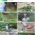 나는 자연인이다.E555.230524.1080p.H264-F1RST