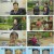 알약방.E152.230525.720p.H264-F1RST