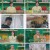 장바구니 집사들.E02.230525.720p.H264-F1RST