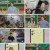 장바구니 집사들.E03.230526.720p.H264-F1RST