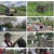 걸어서 세계속으로.E793.230527.1080p.H264-F1RST