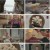 귀족식당.E03.230527.720p.H264-F1RST
