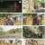 인간극장.E5593.230529.1080p.H264-F1RST