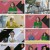 한번더체크타임.E141.230529.720p.H264-F1RST