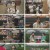 6시 내고향.E7799.230601.720p.H264-F1RST