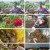 2TV 생생정보.E1818.230602.720p.H264-F1RST