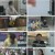궁금한 이야기 Y.E639.230602.1080p.H264-F1RST