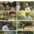 인간극장.E5597.230603.1080p.H264-F1RST