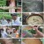 팔도밥상.E308.230603.1080p.H264-F1RST