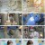TV 동물농장.E1123.230604.1080p.H264-F1RST