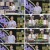 우리말 겨루기.E961.230605.720p.H264-F1RST