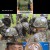 현충일 기획 시사기획 창.E707.230606.720p-NEXT