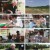 6시 내고향.E7804.230608.720p.H264-F1RST