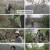 다큐 인사이트.E153.230608.1080p.H264-F1RST