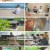 동물극장 단짝.E65.230610.720p.H264-F1RST