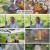 2TV 생생정보.E1824.230612.720p.H264-F1RST