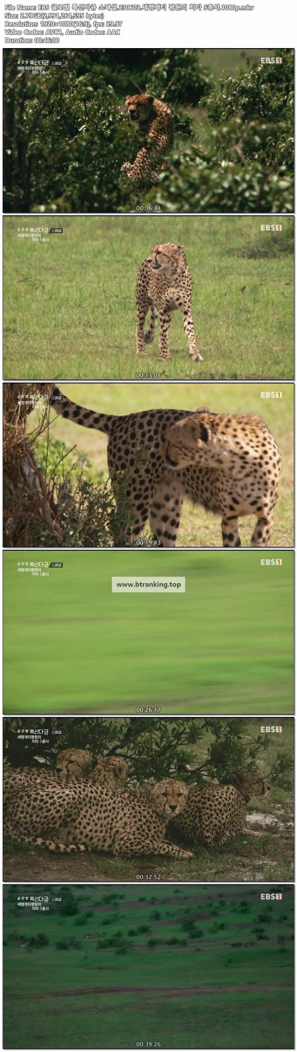 17503780574172.jpg