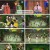 국악한마당.E1460.230617.720p.H264-F1RST