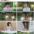 동물극장 단짝.E66.230617.1080p.H264-F1RST