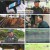 인간극장.E5608.230619.1080p.H264-F1RST