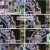 우리말 겨루기.E963.230619.720p.H264-F1RST