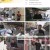 생활의 달인.E893.230619.1080p.H264-F1RST