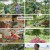 6시 내고향.E7812.230620.720p.H264-F1RST