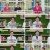 건강면세점.E151.230625.1080p.H264-F1RST