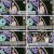 우리말 겨루기.E964.230626.720p.H264-F1RST