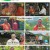 나는 자연인이다.E560.230628.1080p.H264-F1RST