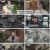 세상에서 가장 아름다운 여행.E1086.230702.1080p.H264-F1RST