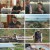 일요 특선 다큐멘터리.E314.230702.1080p.H264-F1RST