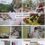 위대한식탁.E80.230708.1080p.H264-F1RST