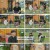 강석우의 종점여행 시즌2.E11.230708.720p.H264-F1RST