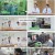다시 피는 인생.E06.230710.1080p.H264-F1RST