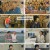 찾아라! 특종 건강백서.E20.230716.1080p.H264-F1RST