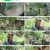 나는 자연인이다.E563.230719.1080p.H264-F1RST