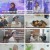 스타다큐 마이웨이.E353.230723.720p.H264-F1RST
