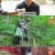 나는 자연인이다.E564.230726.720p-NEXT