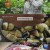 팔도밥상.E330.230729.720p-NEXT