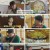 서민갑부폐업탈출대작전.E02.230729.1080p.H264-F1RST
