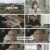 정전협정 70주년 특집다큐 삐오니에 1952.230730.1080p.H264-F1RST