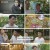 특종세상.E594.230803.1080p.H264-F1RST