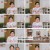쌀롱 하우스.E114.230805.1080p.H264-F1RST